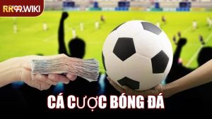 Cá Cược Bóng Đá