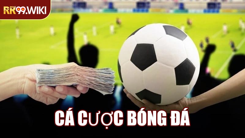 Cá Cược Bóng Đá