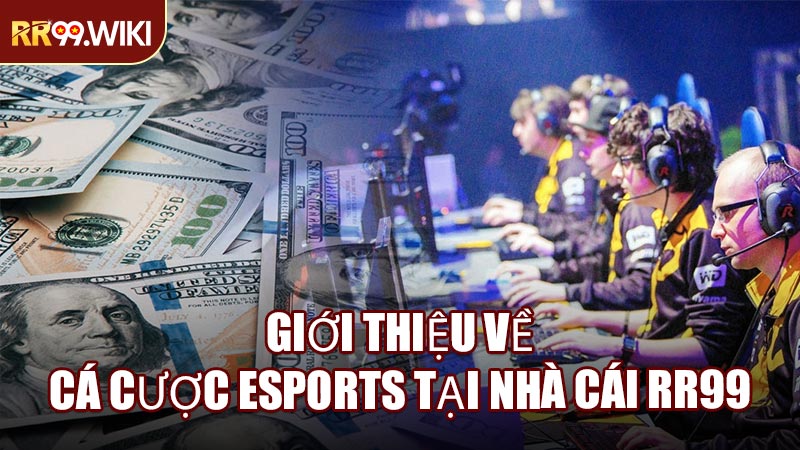 Giới Thiệu Về Cá Cược Esports Tại Nhà Cái RR99