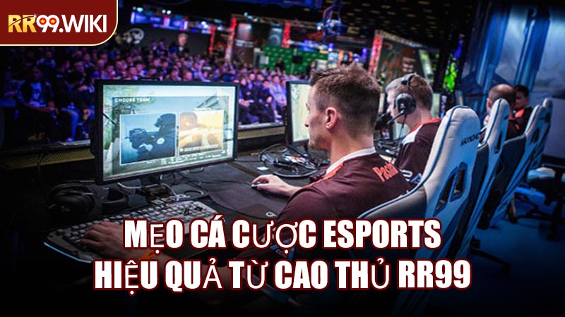 Mẹo Cá Cược Esports Hiệu Quả Từ Cao Thủ RR99