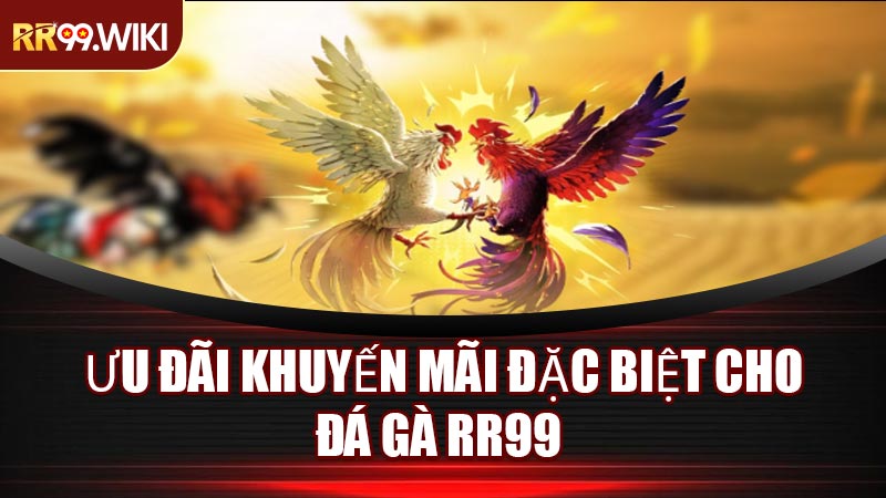 Ưu Đãi Khuyến Mãi Đặc Biệt Cho Đá Gà RR99
